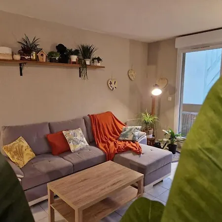 Jungle Street * Touques